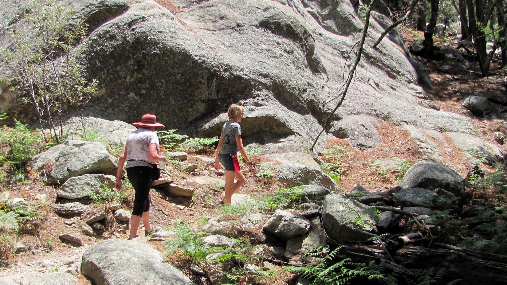 Mount Bigelow is home to huge towers and forest splendor